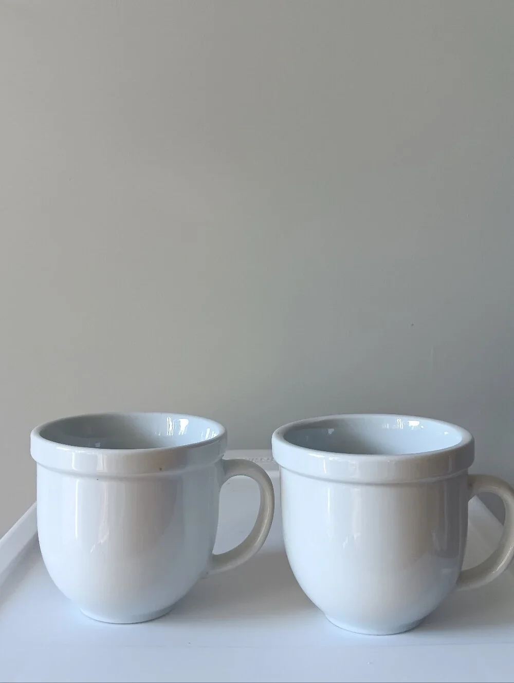Pottery Barn Ceramic Classic Coffee Mugs White Set of 2 Handled Thick Rim Bistro